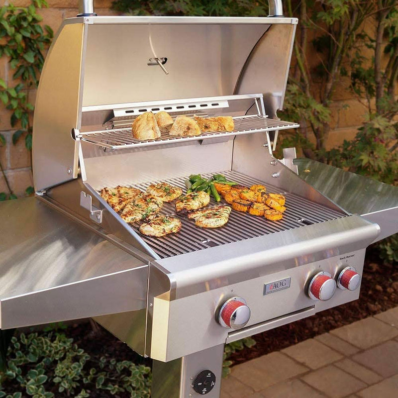 American Outdoor Grill L-Series - 24-Inch 2-Burner Freestanding Grill with Rotisserie on In-Ground Post - Liquid Propane Gas - AOG24PGL