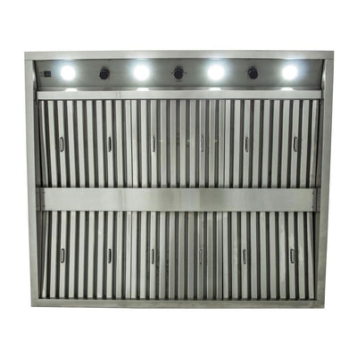 Blaze 42-Inch Stainless Steel Outdoor Vent Hood, 2000 CFM - BLZ-42-VHOOD