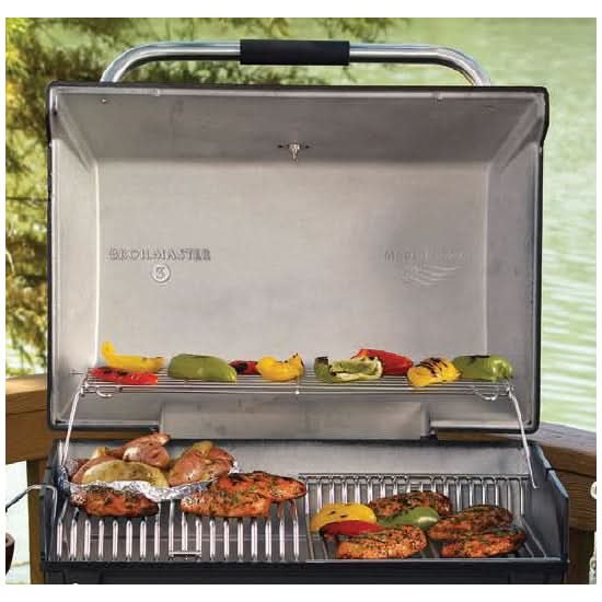 Broilmaster Premium - 24-Inch 2-Burner Built-In Grill - Liquid Propane Gas - P4X