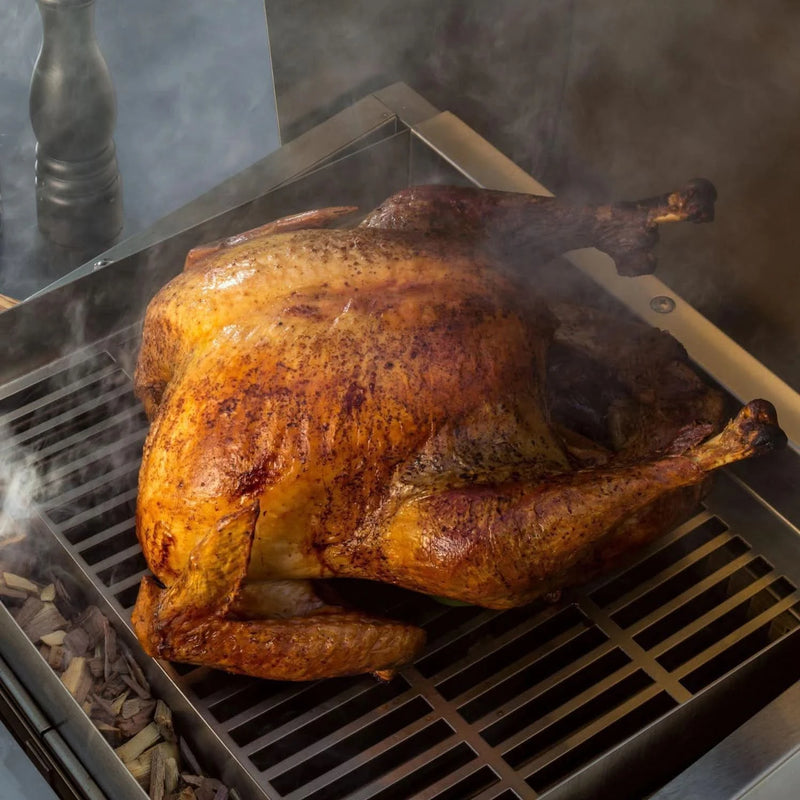 TEC Patio FR Series Infrared Smoker / Roaster - PFRSMKR